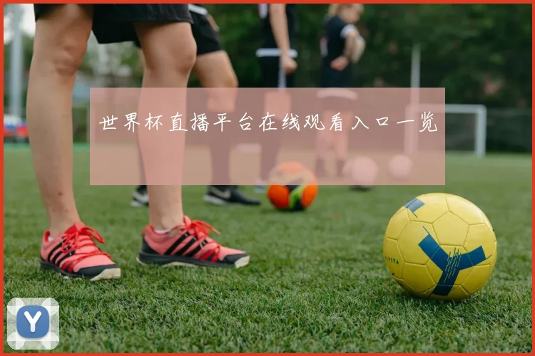 世界杯直播平台在线观看入口一览