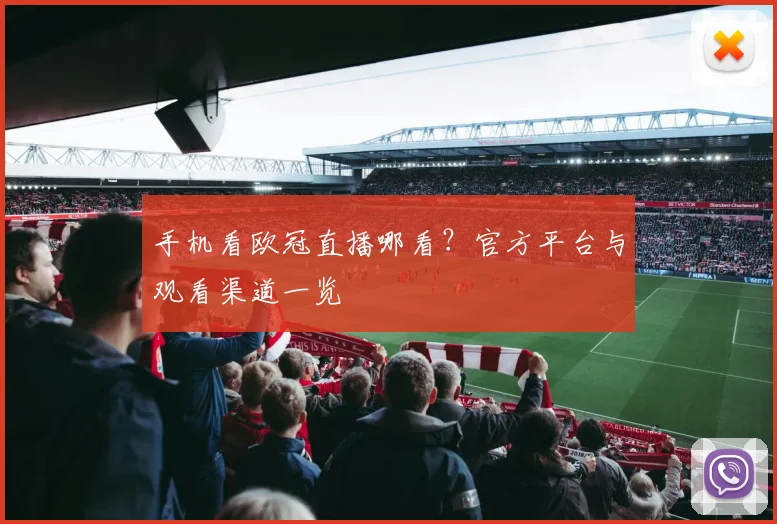 手机看欧冠直播哪看？官方平台与观看渠道一览