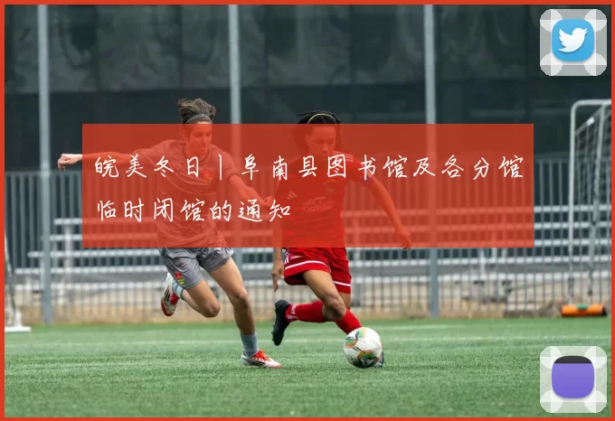 皖美冬日丨阜南县图书馆及各分馆临时闭馆的通知