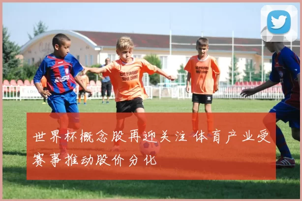 世界杯概念股再迎关注 体育产业受赛事推动股价分化