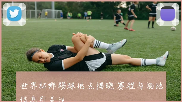 世界杯哪踢球地点揭晓 赛程与场地信息引关注