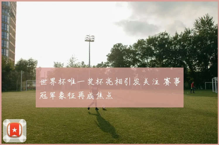 世界杯唯一奖杯亮相引发关注 赛事冠军象征再成焦点