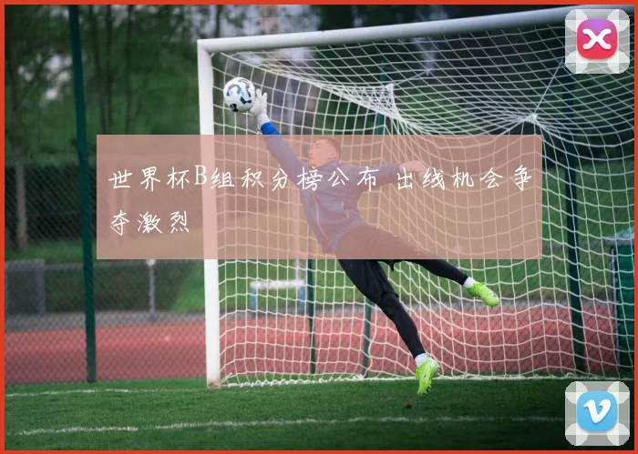 世界杯B组积分榜公布 出线机会争夺激烈